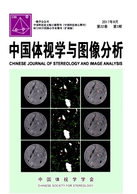 中国体视学与图像分析